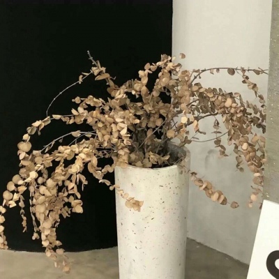 Furry插画手绘技巧干货福瑞交流群